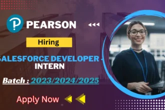 Pearson Salesforce Developer - Intern Job