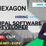 Hexagon Principal Software Developer Job