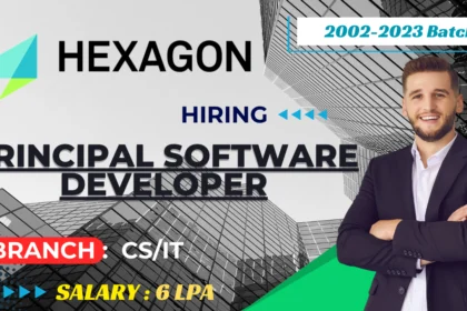 Hexagon Principal Software Developer Job