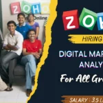 Zoho Digital Marketing Analyst